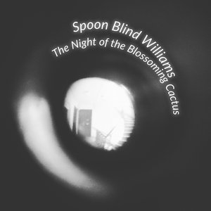Night of the blossoming Cactus