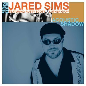 Acoustic Shadow