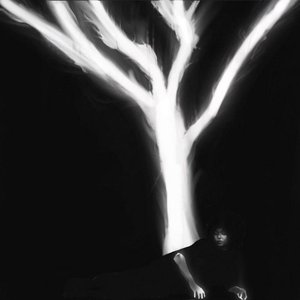 THE SOUND THAT TREES MAKE