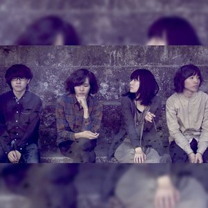 Seebirds 的头像