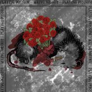 Playing Possum - EP