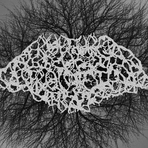 Avatar for Rupture Of The Gastrointestinal Tract