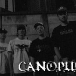 Canopus 的头像