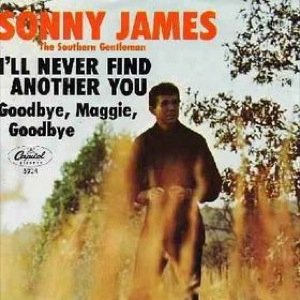 I'll Never Find Another You / Goodbye, Maggie, Goodbye