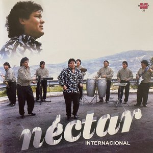 Nectar Internacional