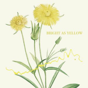 Bright as Yellow