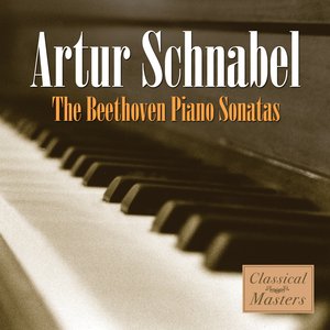 Image pour 'The Beethoven Piano Sonatas'