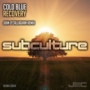 Recovery (John O’Callaghan)