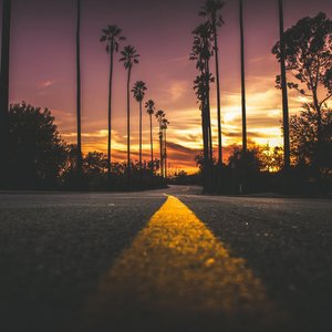 Night Dance in Los Angeles