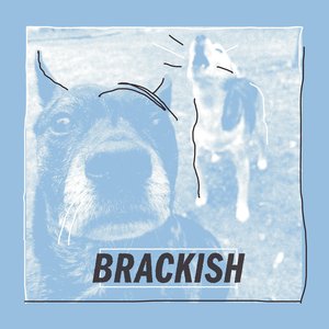 Brackish