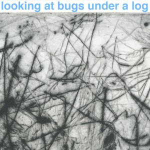Looking at Bugs Under a Log