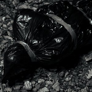 Avatar für Human Shield