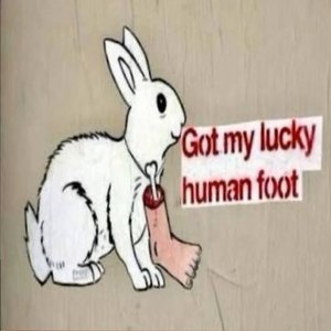 bunni below 的头像