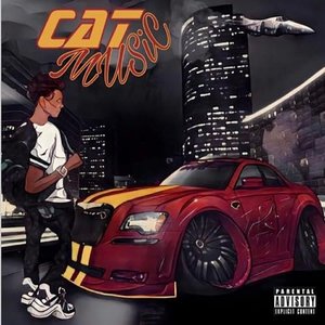 Cat Music