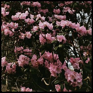 Discography 2016-2017