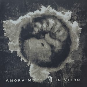 In Vitro