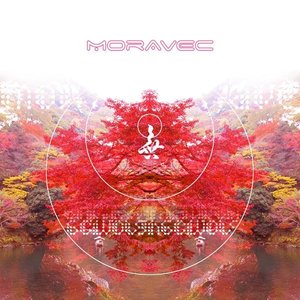 Moravec 的头像
