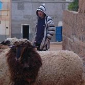 Avatar for Andidepressiva vs. dirham bakschisch