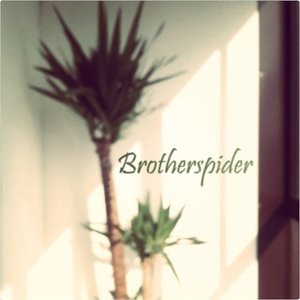 Avatar for Brotherspider