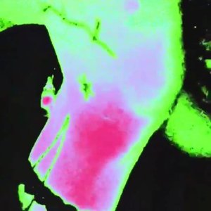High Asf [Explicit]