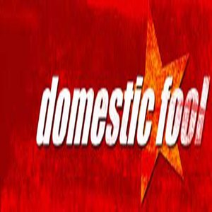 Domestic Fool 的头像