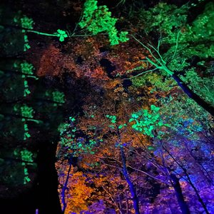 Beckonings - Single