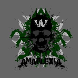 Avatar for AnAFLeXia