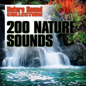 Аватар для Nature Sound Collection