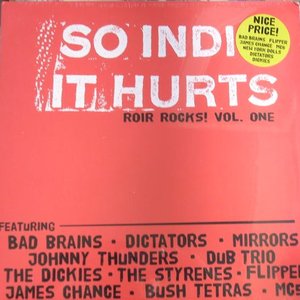 So Indie It Hurts: ROIR Rocks Volume One