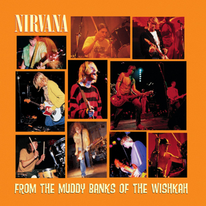 Nirvana - From The Muddy Banks Of Wishk - Zortam Music