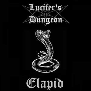 Elapid