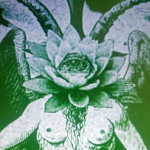 Image for 'Celestial Bleeding'