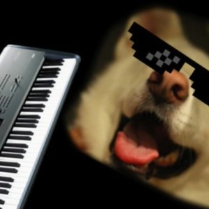Pigdeons 的头像