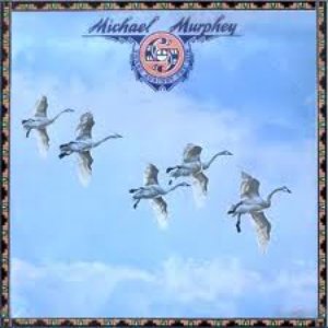 Swans Against the Sun