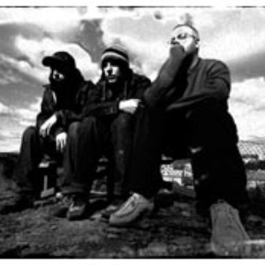 Stacs of Stamina photo provided by Last.fm