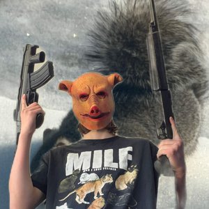 Avatar for KittenXPigLoverX