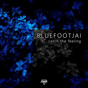 Catch the Feeling