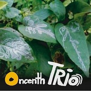 Oncenth Trio
