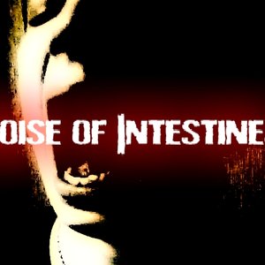 Noise of Intestines için avatar