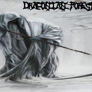 Avatar for Draconian Forest