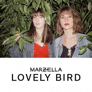 Lovely Bird