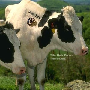 THe Dub Farm