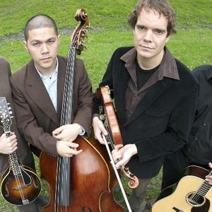 The Creaking Tree String Quartet 的头像