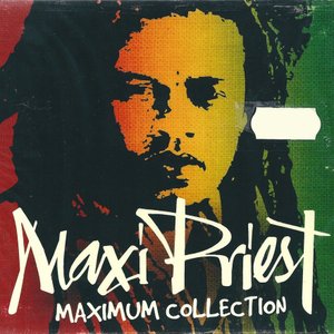 Image for 'Maximum Collection'