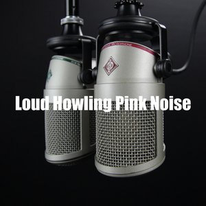 Loud Howling Pink Noise
