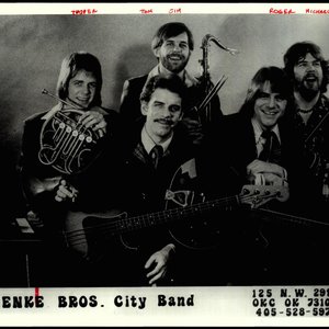 Avatar for The Lienke Brothers City Band