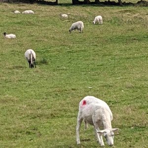 peakdistrict