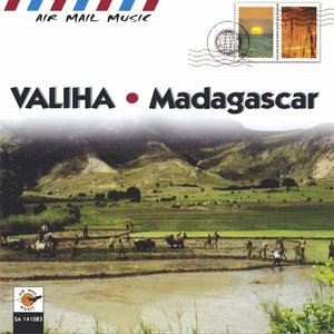 Valiha madagascar