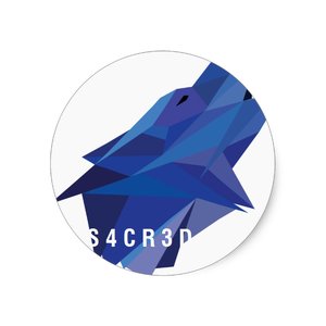 Avatar for S4CR3D