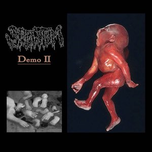 Demo II
